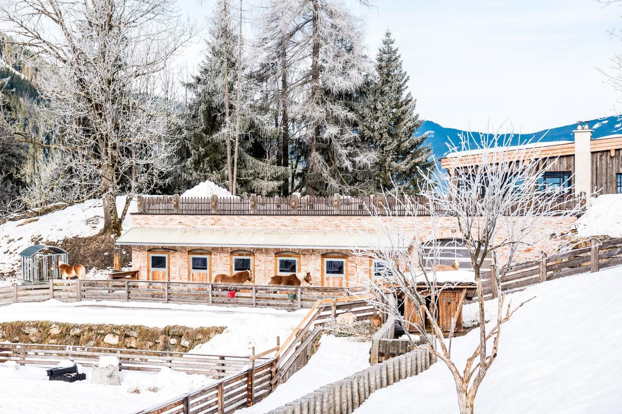 Peakini Farmhaus Villa Untertauern Eksteriør billede